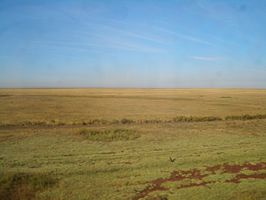 De steppe ten noorden van Nur-Sultan, in de oblast Aqmola in Kazachstan