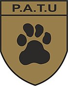 PATU's patch