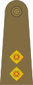 Lieutenant