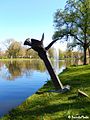 De Narcis, naast riviertje de Reest