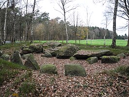 Großsteingrab bei den Düvelskuhlen