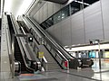 Kowloon station, Tung Chung line platform