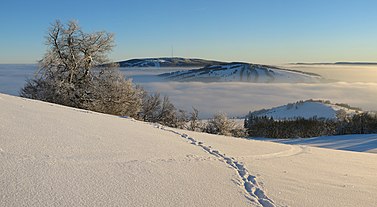 Hexenbuche im Winter, Blick zum Kreuzberg