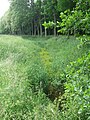 Erholungsgebiet Runenbrock im Stadtwesten