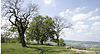 Blick über das Plateau des Mensfelder Kopfs nach Westen