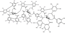 Chemical structure of raspberry ellagitannin