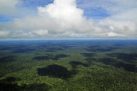 Aerial view of the Amazon rain forest, by Neil Palmer of the International Center for Tropical Agriculture