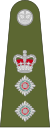 Colonel