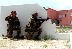 Standard US Woodlands in 1999 during Operation Urban Warrior