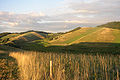 Ein junges Mittelgebirge in Baden-Württemberg: der Kaiserstuhl