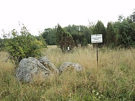 Prehistorische begraafplaats bij Rahuste