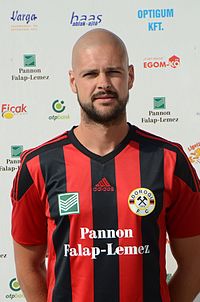 David Perović 2016-ban