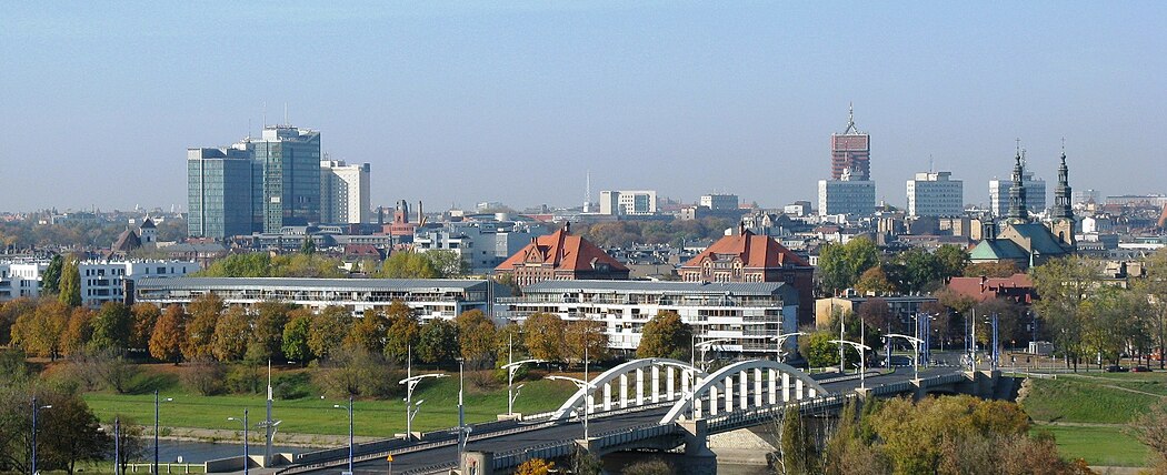 Centrum Poznania widziane z prawego brzegu Warty, na wysokości Piotrowa, na pierwszym planie Most św. Rocha (2008)