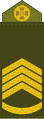 Головний сержант (Chief Sergeant)