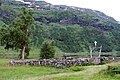 This cemetery was erected 1859 because it was impossible to bring the dead to the cemetery at Aurlandsvangen in the winter times. Here 27 people are buried. The dates indicate that the Spanish influenza also took its toll in remote places like Østerbø. Several of the names indicate roots in Ål and Hol in the Hallingdalen, confirming the cross-mountain travel.