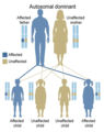 Autosomal dominant inheritance (Public Domain)