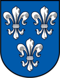 Wappen von Zidani Most