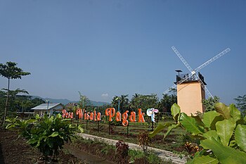 Desa wisata pagak