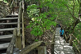 Treppe vom Königsstuhl zum Strand 110 m hoch, mit 412 Stufen (2011)