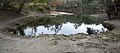 Panoramic view of karst spring