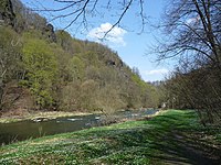 Steinicht zwischen der Rentzschmühle und Elsterberg