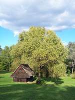 Skansen w Parku Śląskim w Chorzowie