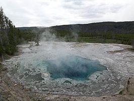 Artemisia Geyser