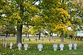 Soldatenfriedhof „Wicres Village“