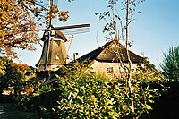 Windmühle Felde