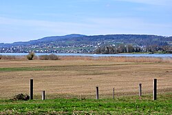 Frauenwinkel, Ufenau