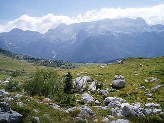 Kanin-Massiv von Forca dei Disteis