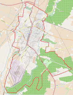 Mapa konturowa Kwidzyna, blisko centrum na lewo u góry znajduje się punkt z opisem „Kwidzyn”