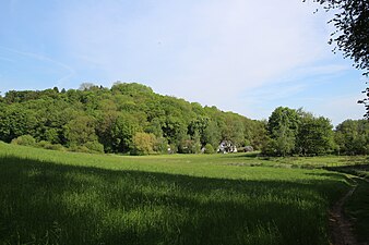 Die Hainmühle im Krebsbachtal