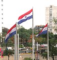 Dalgalanan Paraguay bayrakları