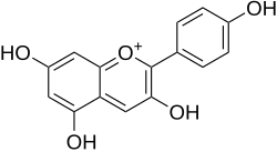 Strukturformel von Pelargonidinchlorid