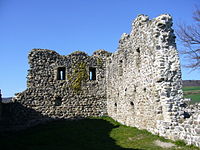 Die Ruine Helfenberg