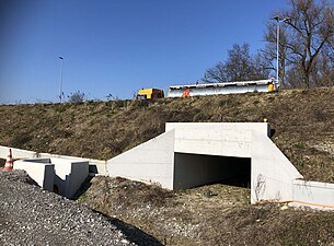 Kleintierdurchlass unter der neuen Strasse