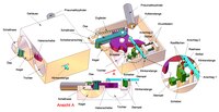 Zweistellungsverschluss (Überblick)