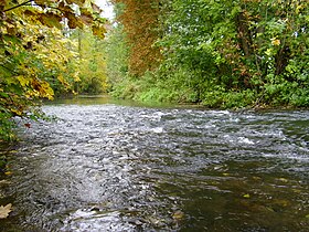 Seckach unterhalb von Adels­heim bei Niedrig­wasser.