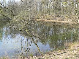 Een kleiput in de Velderheide.