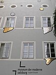 Rupertinum Salzburg (Zungenbärte)