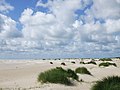 Amrum, Kniepsand, 4. August 2008