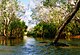 Goyder River Crossing