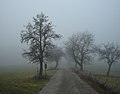 Nebel in der Region Rhön