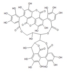 Chemical structure of punicacortein D