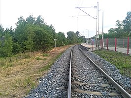 Station Swędów