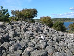 Tångudden på Sydkoster