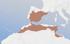 Mapa występowania