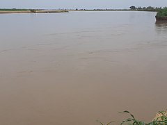 Blick über den Logone von Kamerun aus gesehen