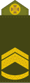 Майстер-сержант (Master Sergeant)